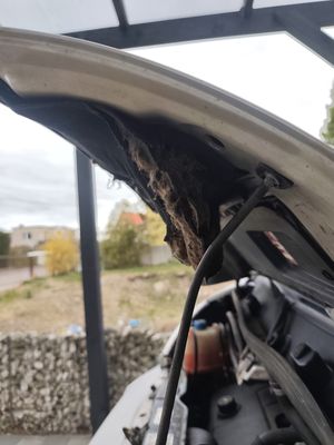 Komora silnika + tabliczki znamionowe (Rimor VIN, Fiat VIN)