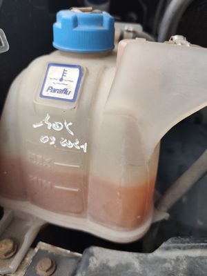 Silnik — chłodnica Paraflu, wymiana oleju 16/04/2026 5W-30 (przebieg 298 186 km)