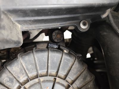 Silnik — chłodnica Paraflu, wymiana oleju 16/04/2026 5W-30 (przebieg 298 186 km)