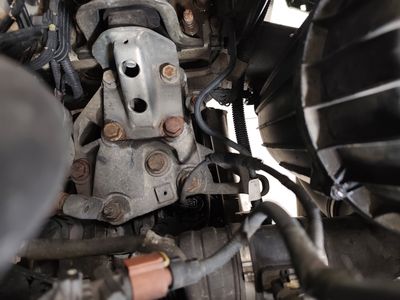 Silnik — chłodnica Paraflu, wymiana oleju 16/04/2026 5W-30 (przebieg 298 186 km)