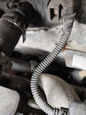 Silnik — chłodnica Paraflu, wymiana oleju 16/04/2026 5W-30 (przebieg 298 186 km)