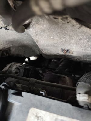 Silnik — chłodnica Paraflu, wymiana oleju 16/04/2026 5W-30 (przebieg 298 186 km)